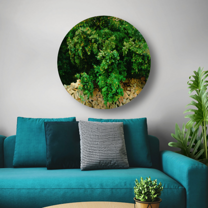 Ilex Bomen. Mallorca - John Singer Sargent aluminium muurcirkel