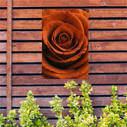 Oranje roos met dauwdruppels close-up tuinposter