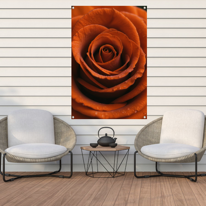 Oranje roos met dauwdruppels close-up tuinposter