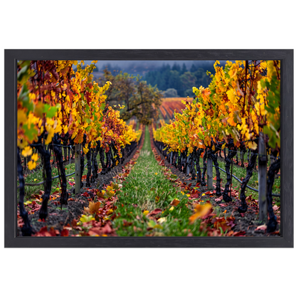 Herfst in de wijngaard met kleurenpracht canvas met baklijst