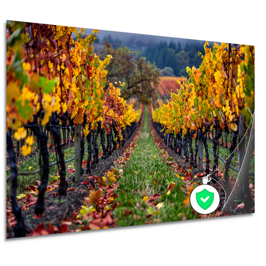 Herfst in de wijngaard met kleurenpracht poster