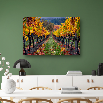Herfst in de wijngaard met kleurenpracht canvas met baklijst
