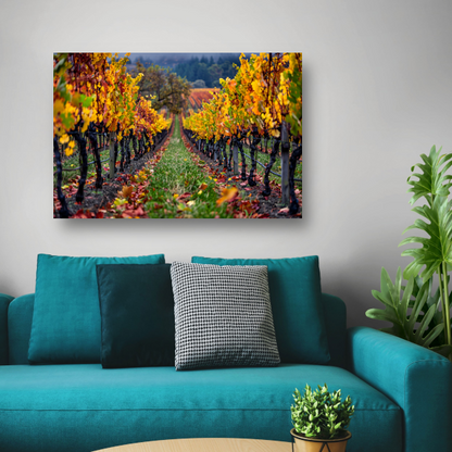 Herfst in de wijngaard met kleurenpracht canvas met baklijst