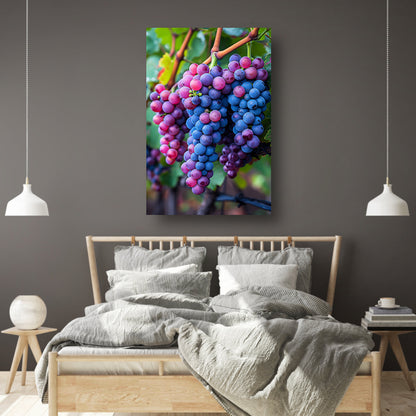 Rijpe druiventrossen aan de wijnstok canvas