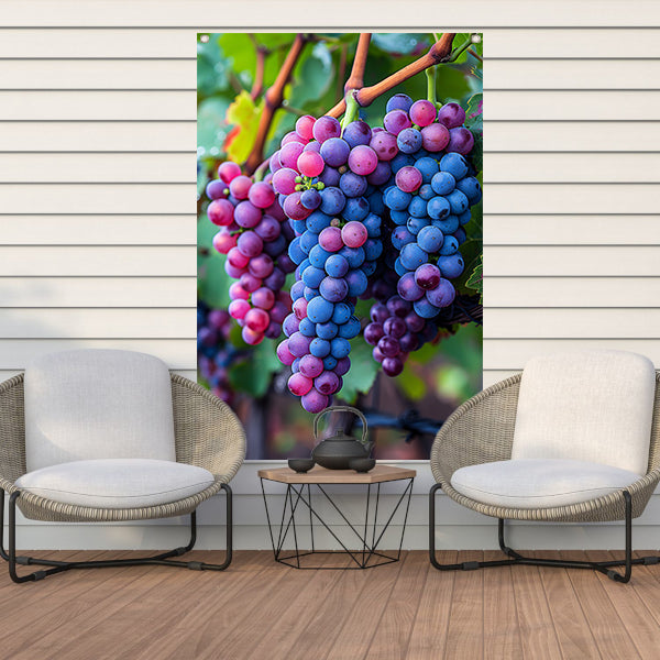 Rijpe druiventrossen aan de wijnstok tuinposter