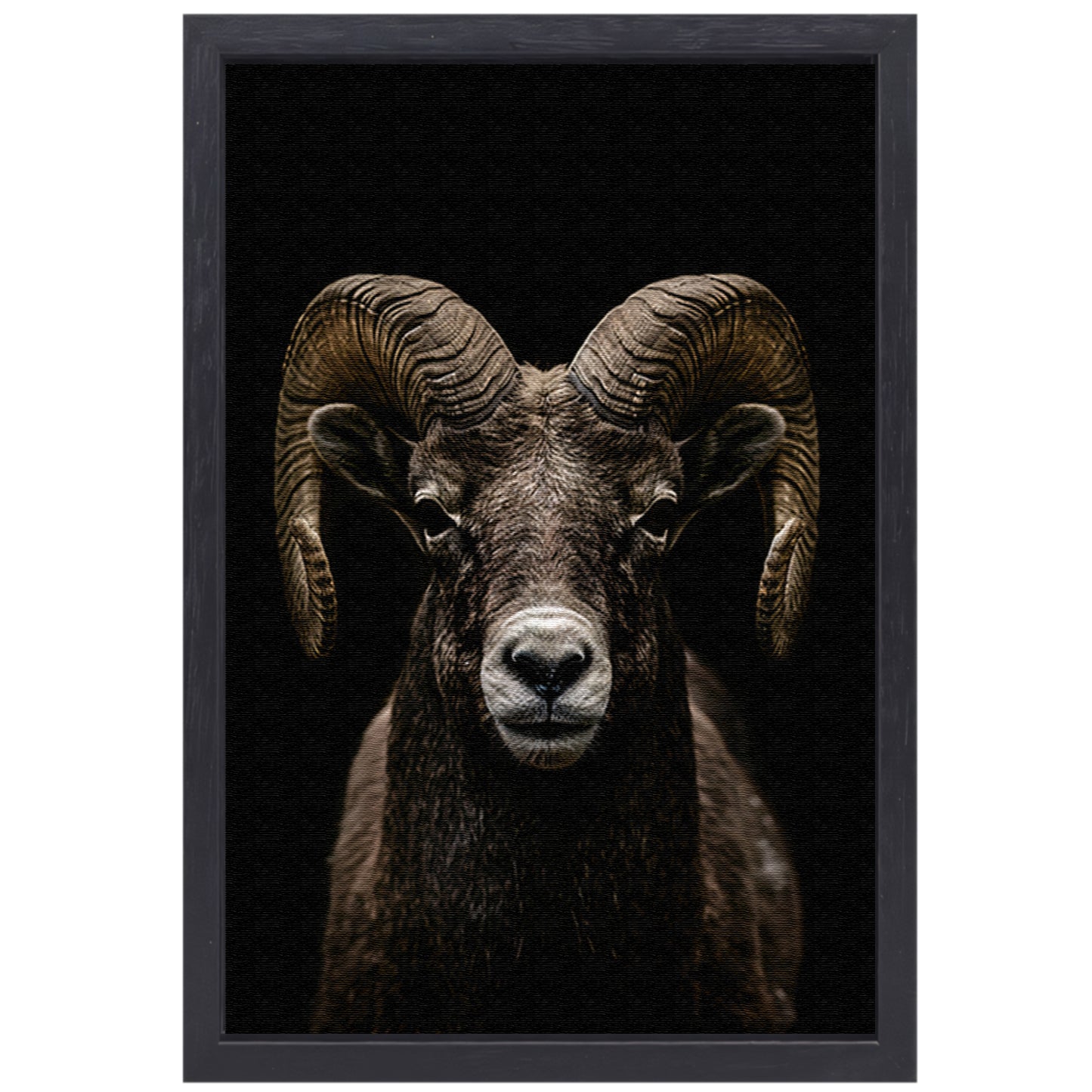 Krachtige close-up van een ram in zwart en wit canvas met baklijst