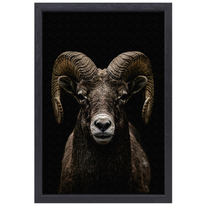 Krachtige close-up van een ram in zwart en wit canvas met baklijst