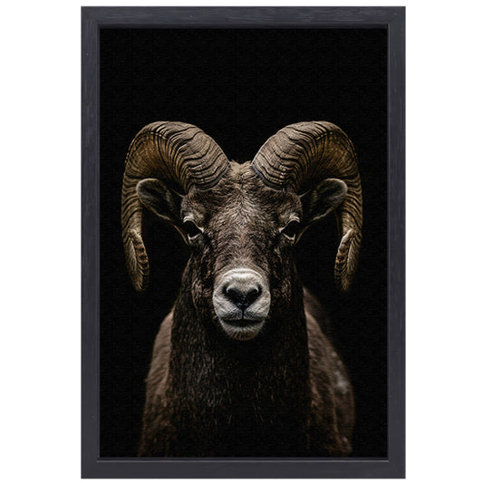 Krachtige close-up van een ram in zwart en wit canvas met baklijst
