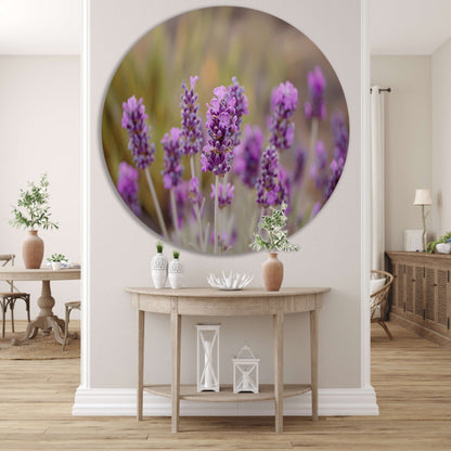 Levendige paarse lavendelbloemen in natuurlijke omgeving aluminium muurcirkel