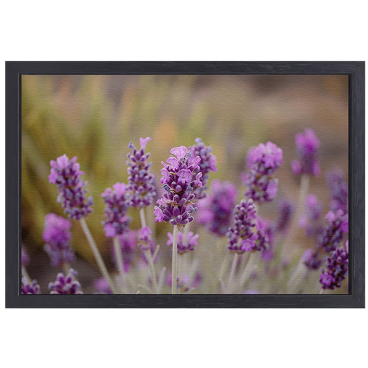 Levendige paarse lavendelbloemen in natuurlijke omgeving canvas met baklijst