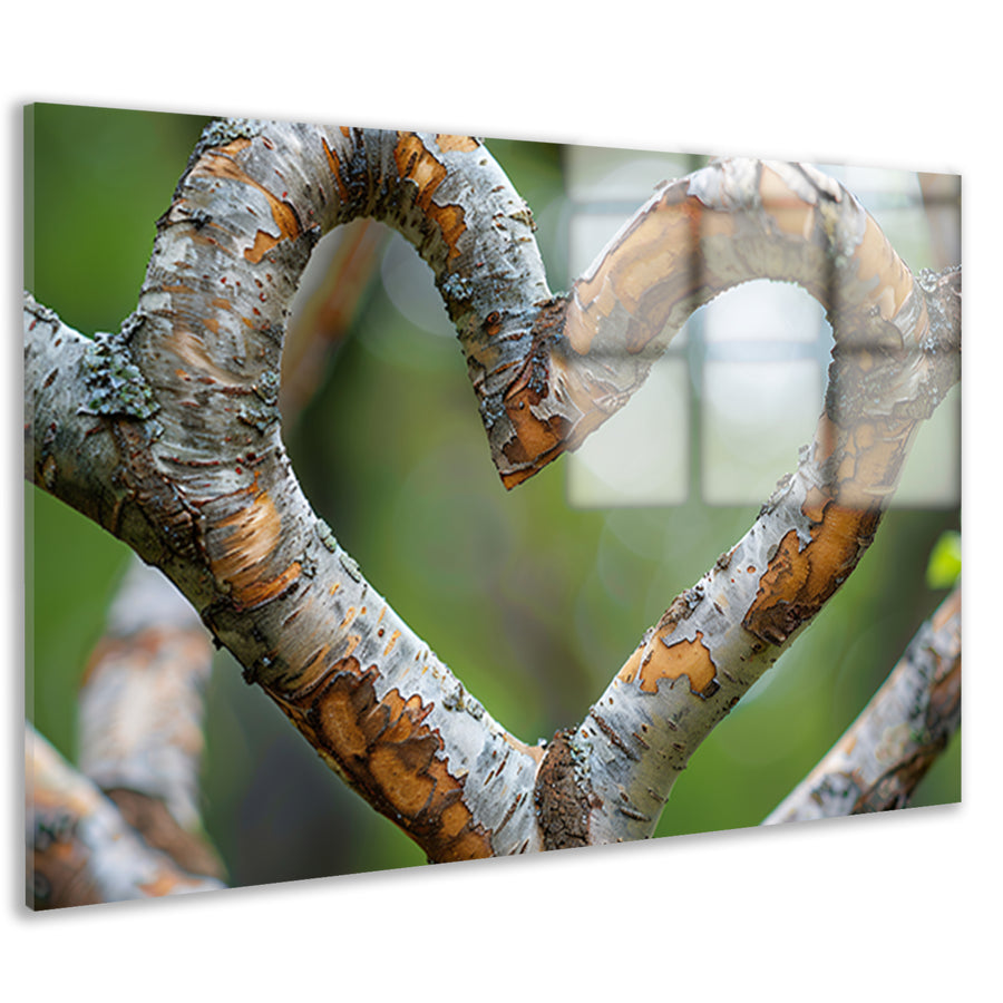 Hartvormige verweving van boomtakken   acrylglas