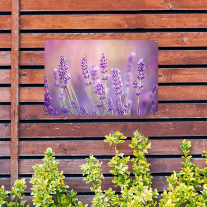 Betoverende lavendelvelden in zachte pasteltinten tuinposter