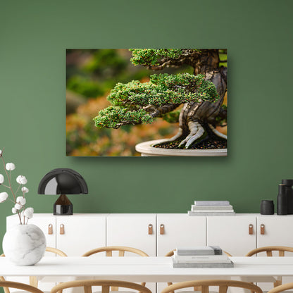 Close-up van een gedetailleerde bonsai boomcanvas