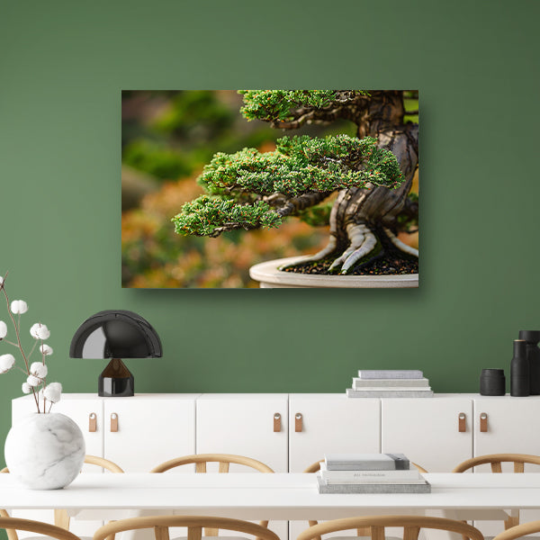 Close-up van een gedetailleerde bonsai boom poster