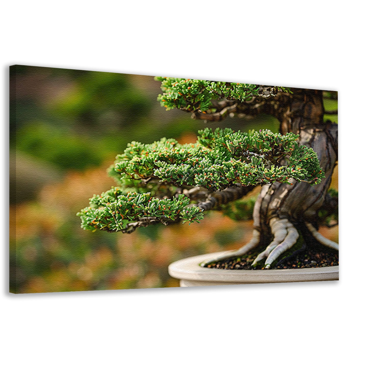 Close-up van een gedetailleerde bonsai boomcanvas