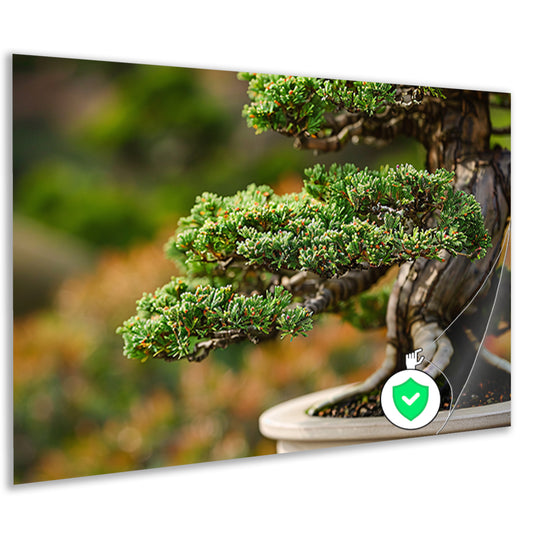 Close-up van een gedetailleerde bonsai boom poster