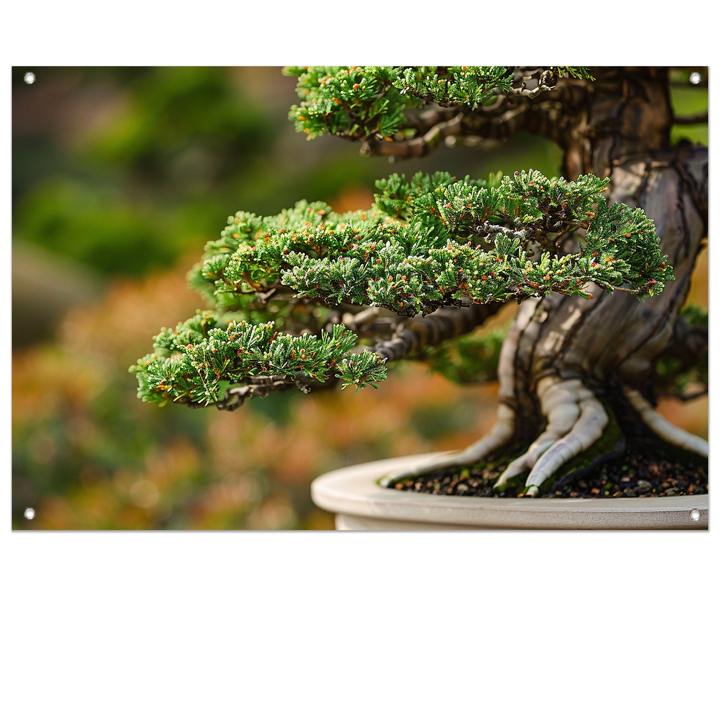 Close-up van een gedetailleerde bonsai boom tuinposter