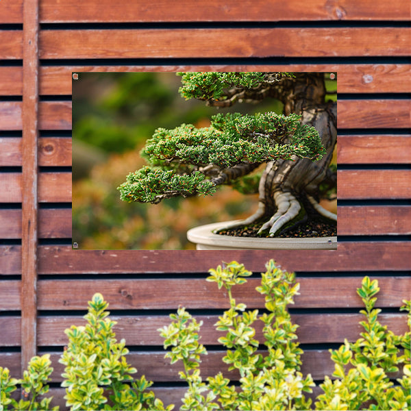 Close-up van een gedetailleerde bonsai boom tuinposter