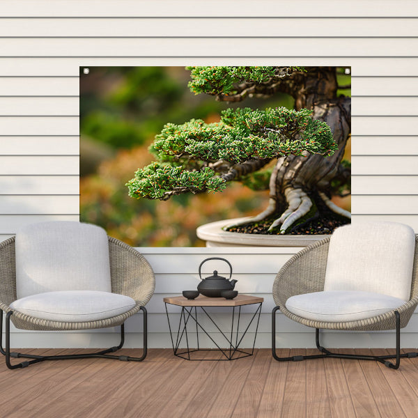 Close-up van een gedetailleerde bonsai boom tuinposter