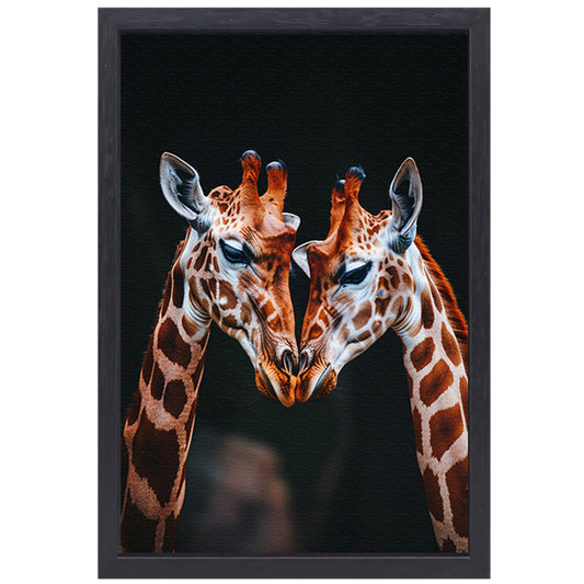 Twee giraffen met donkere achtergrond canvas met baklijst
