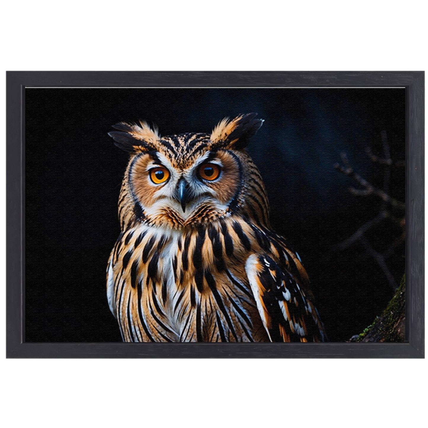 Prachtige close-up foto van een uil canvas met baklijst