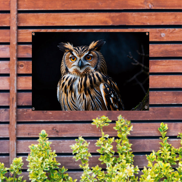 Prachtige close-up foto van een uil tuinposter
