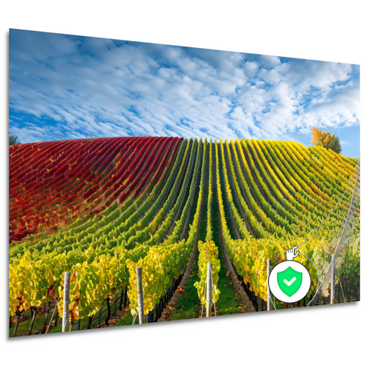 Herfstpanorama van kleurrijke wijngaarden poster
