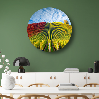 Herfstpanorama van kleurrijke wijngaarden aluminium muurcirkel