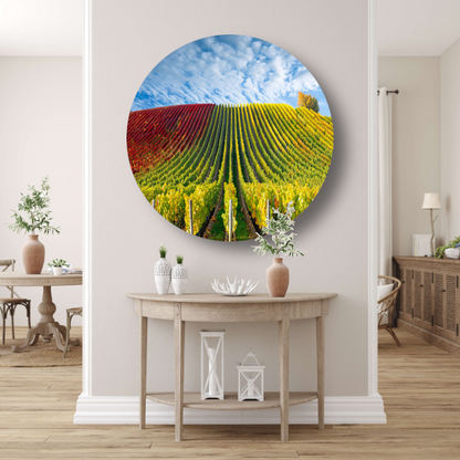 Herfstpanorama van kleurrijke wijngaarden aluminium muurcirkel