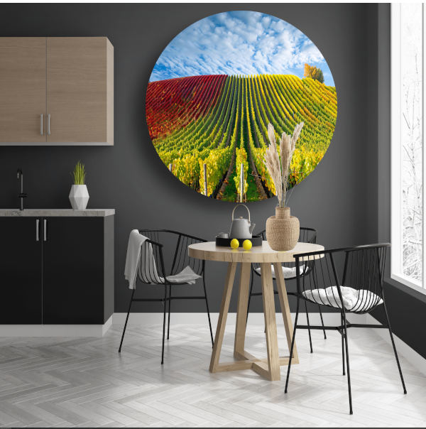 Herfstpanorama van kleurrijke wijngaarden aluminium muurcirkel