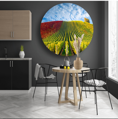 Herfstpanorama van kleurrijke wijngaarden aluminium muurcirkel