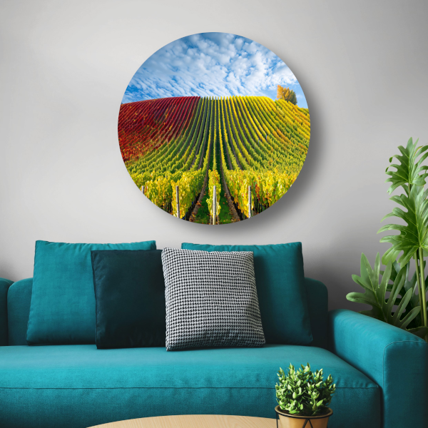Herfstpanorama van kleurrijke wijngaarden aluminium muurcirkel