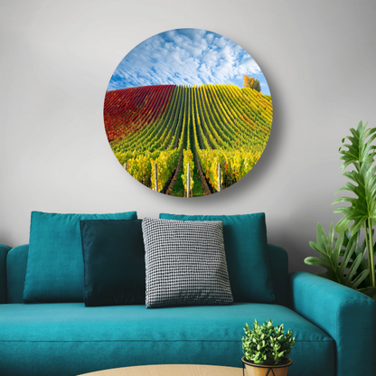 Herfstpanorama van kleurrijke wijngaarden aluminium muurcirkel