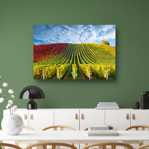 Herfstpanorama van kleurrijke wijngaarden canvas met baklijst