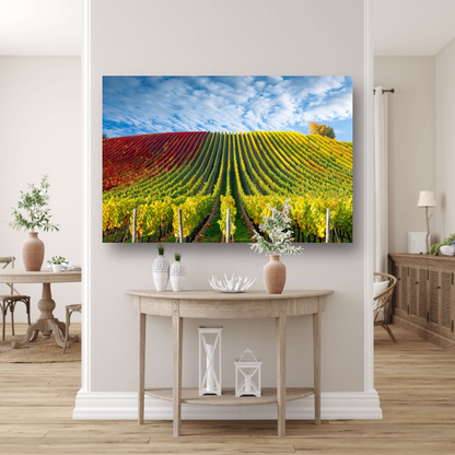 Herfstpanorama van kleurrijke wijngaarden canvas met baklijst