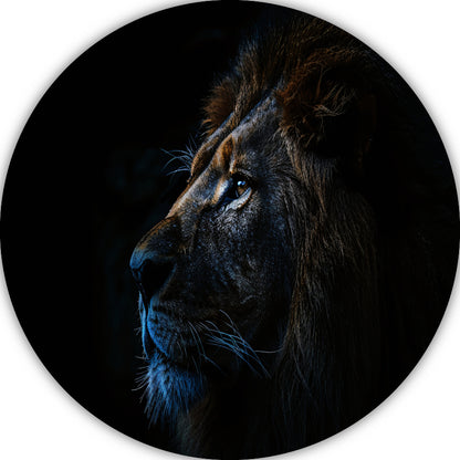 De stille majesteit van de nachtelijke leeuw forex muurcirkel