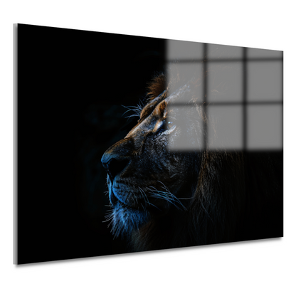 De stille majesteit van de nachtelijke leeuw acrylglas