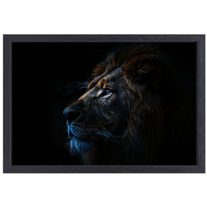 De stille majesteit van de nachtelijke leeuw canvas met baklijst