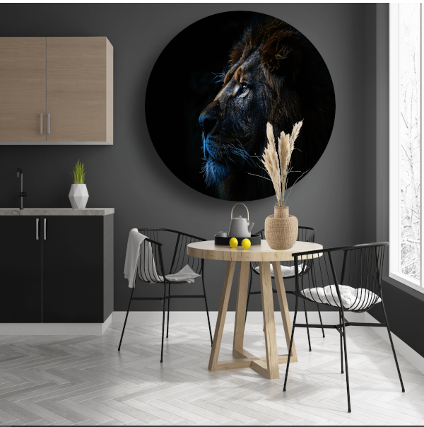 De stille majesteit van de nachtelijke leeuw forex muurcirkel