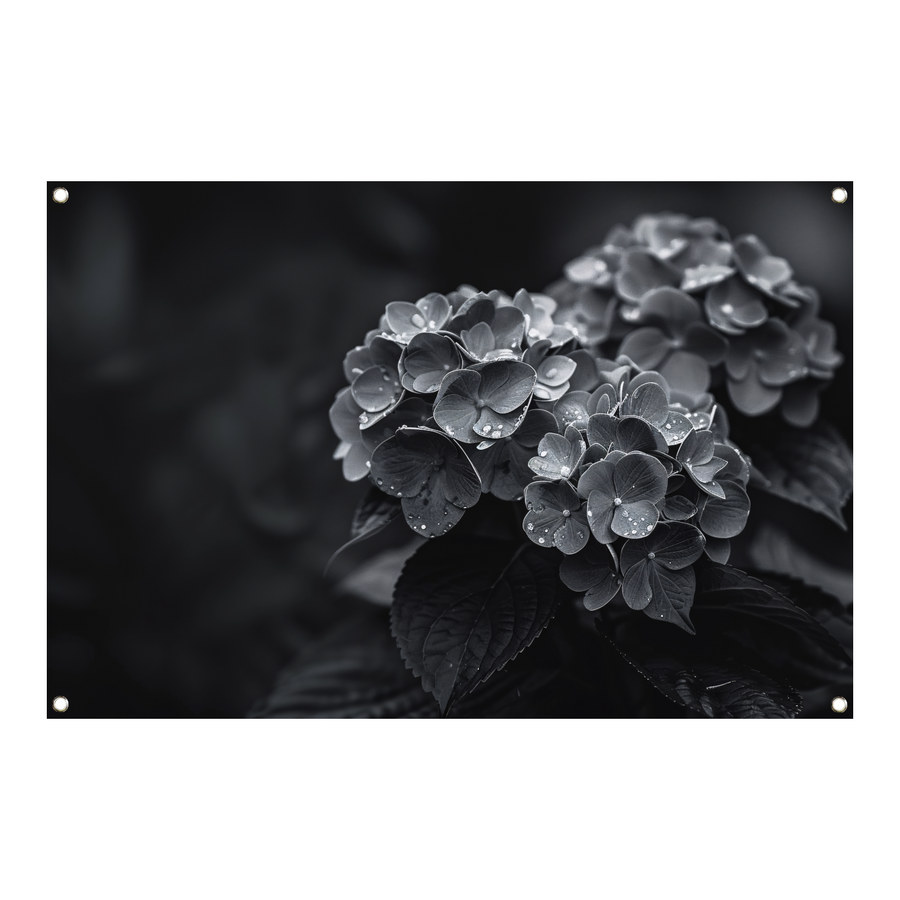 Hydrangeas in Vaas tuinposter