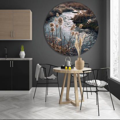 Rietpluimen langs kabbelend water forex muurcirkel
