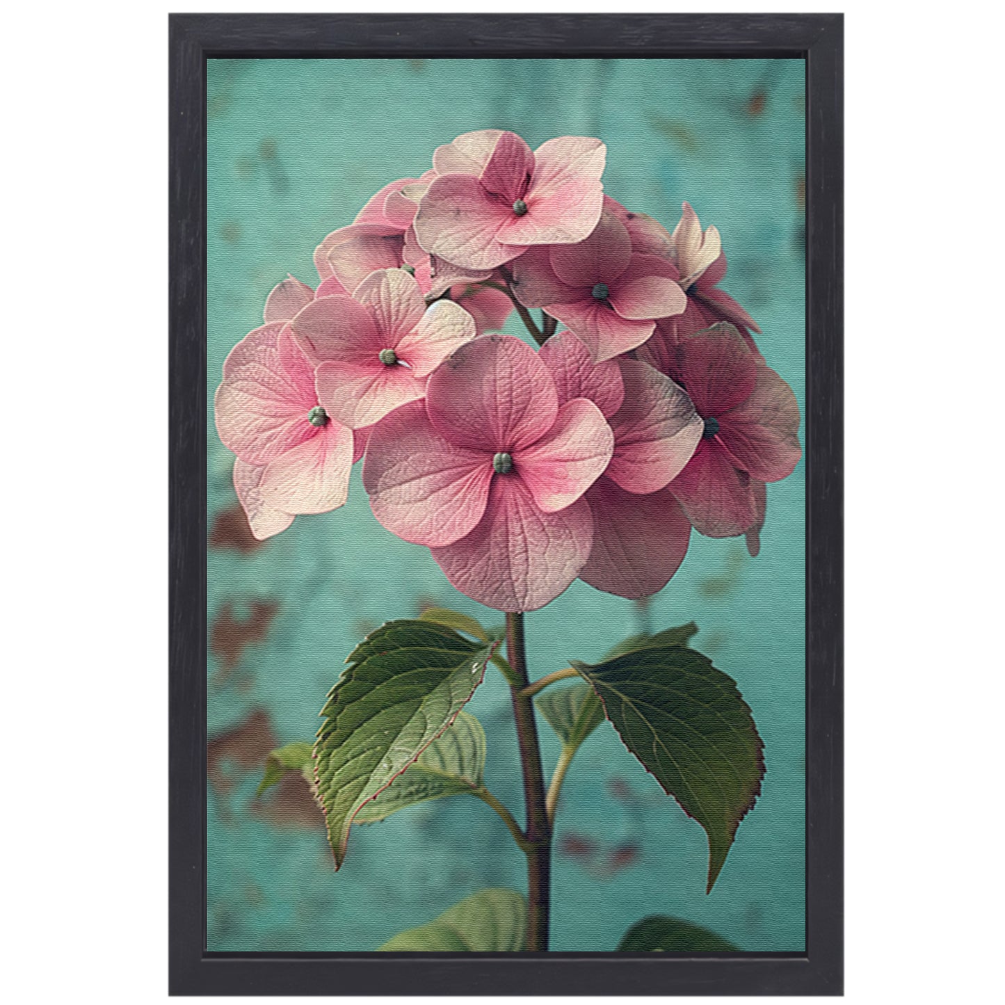 Close-up van Roze Hortensia met Turquoise Achtergrond canvas met baklijst