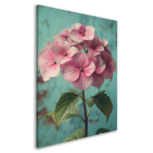 Close-up van Roze Hortensia met Turquoise Achtergrond canvas