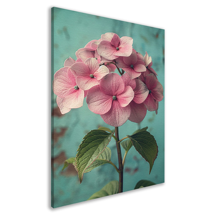 Close-up van Roze Hortensia met Turquoise Achtergrond canvas