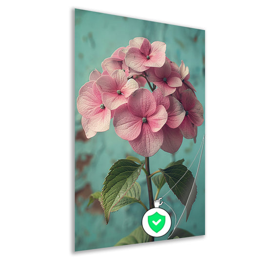 Close-up van Roze Hortensia met Turquoise Achtergrond poster