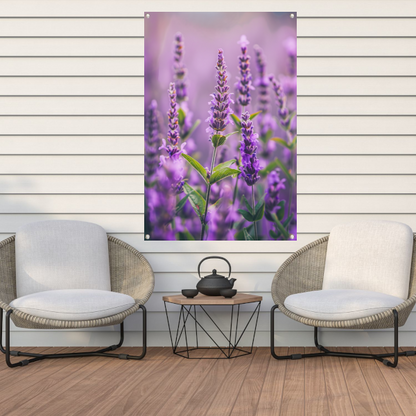Close-up van bloeiende lavendelbloemen in paars tuinposter