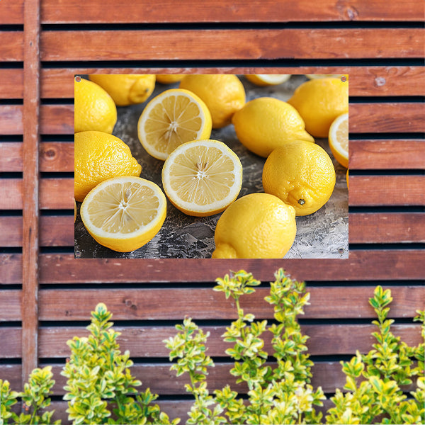 Citroenen stilleven op houten tafel tuinposter