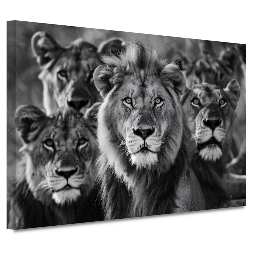 Leeuwenfamilie in de savanne canvas