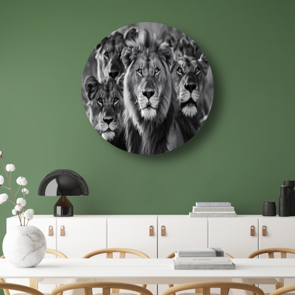 Leeuwenfamilie in de savanne aluminium muurcirkel