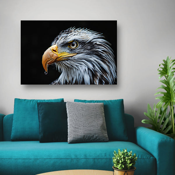 Krachtige Kale Adelaar canvas met baklijst